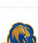 Karachi Kings