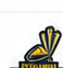 Peshawar Zalmi