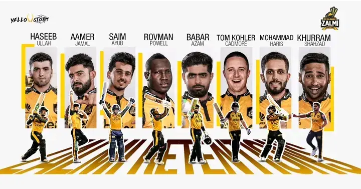 peshawar zalmi retained players for psl9