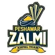 Peshawar Zalmi Team KIT 2024 PSL 9